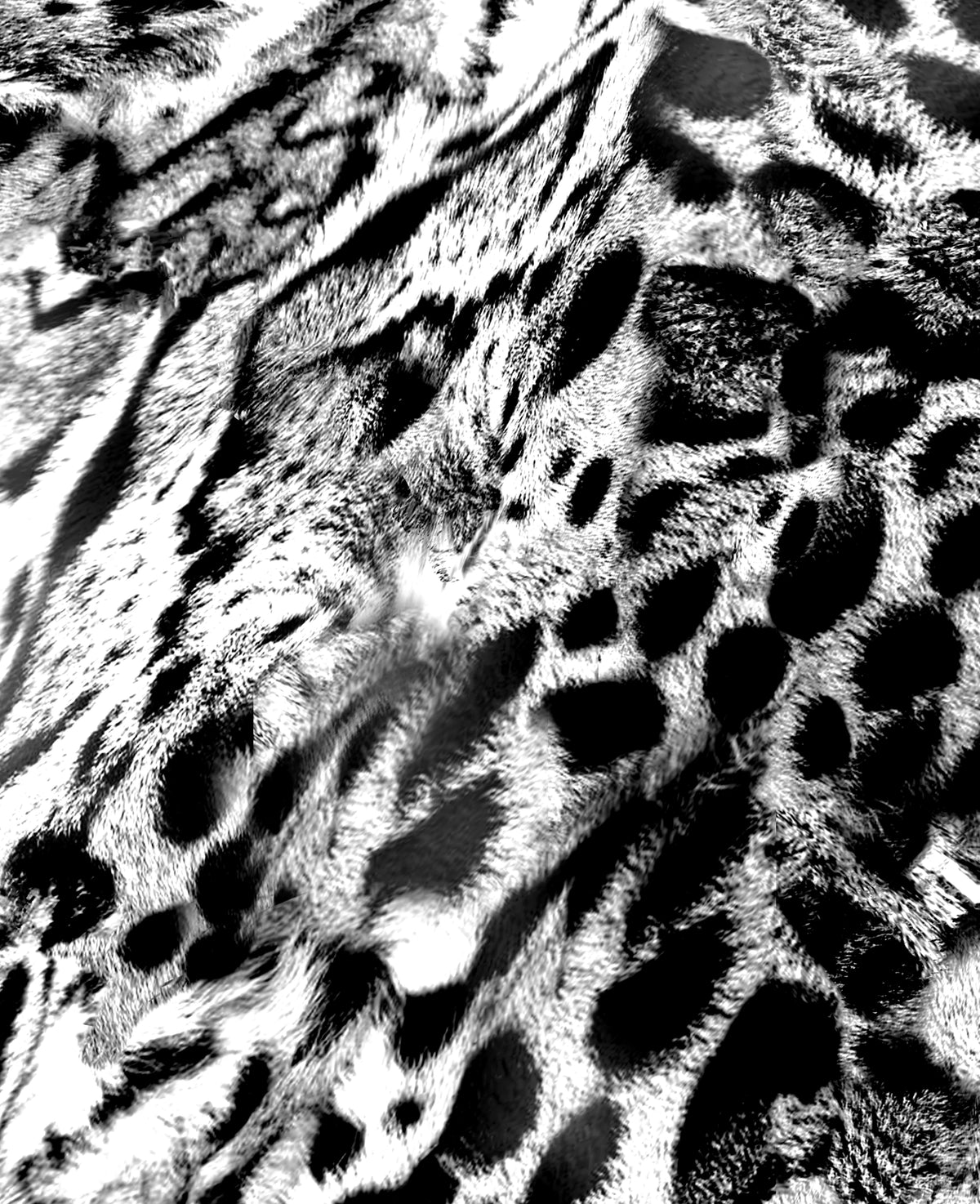 Mono Clouded leopard Men's Tee
